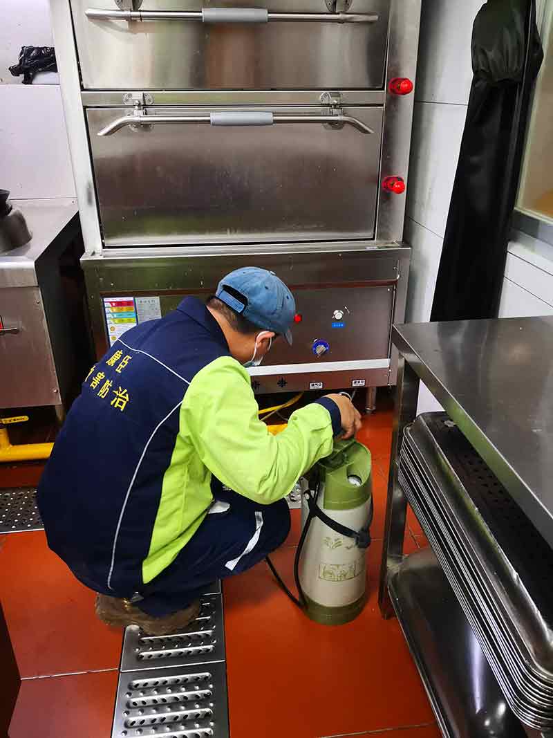 學(xué)校食堂滅蟑螂