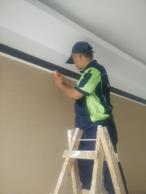 吊頂滅白蟻蛀食